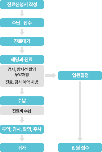 진료신청서 작성, 수납 및 접수, 진료대기, 해당과 진료(검사 및 방사선 촬영, 투약처방, 진료 및 검사 예약 처방) 이후 입원 결정 후 입원 접수 혹은 수납(진료비 수납), 투약·검사·촬영·주사 후 귀가